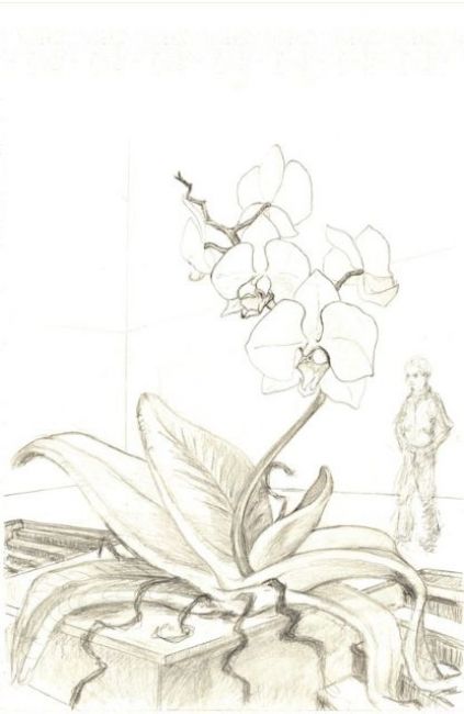 Projet en cours - Orchidée - Olivier Grossetête